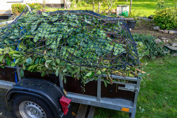 Best Commercial Junk Removal  in Collinwood, TN